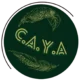 CAYA